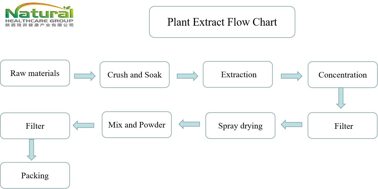 flow chart