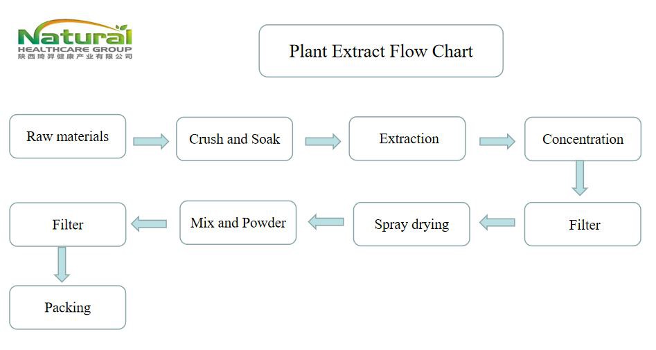 flow chart