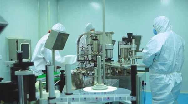 Sheep Placenta Lyophilized product process Sheep Placenta Lyophilized product process