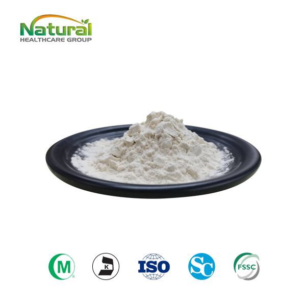 Epimedium ekstrakt u prahu