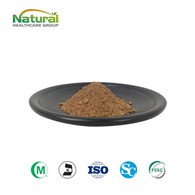 Garcinia Cambogia Ekstrakt 10:1 Prah