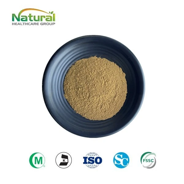 Icelandic Moss Extract Powder