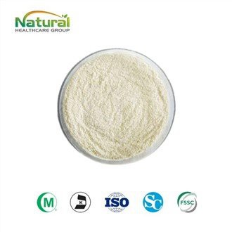 Avokado voće u prahu